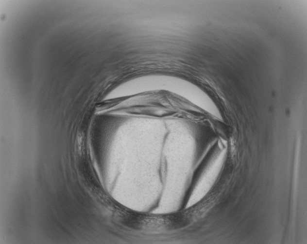 X0000086290123200704271812
