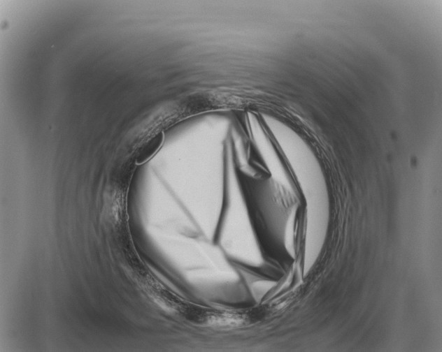 X0000086290125200704271812