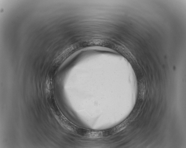 X0000086290126200704271812