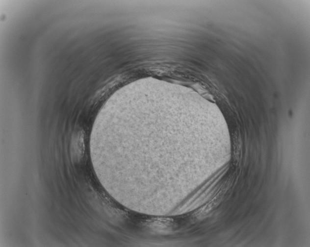 X0000086290128200704271811