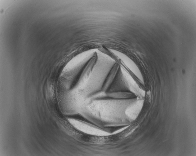X0000086290131200704271811