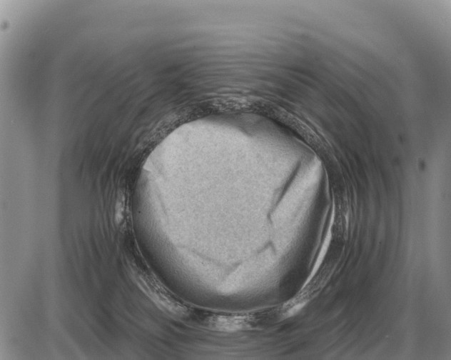 X0000086290134200704271811