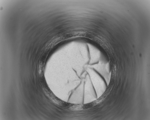 X0000086290138200704271811