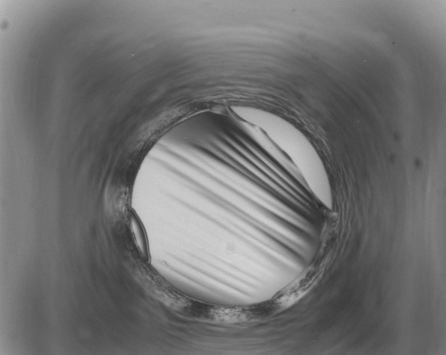 X0000086290141200704271811