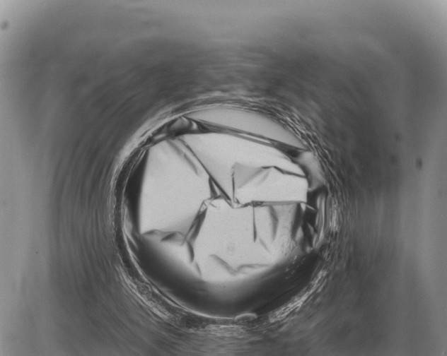 X0000086290150200704271811