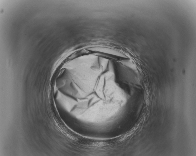 X0000086290152200704271811