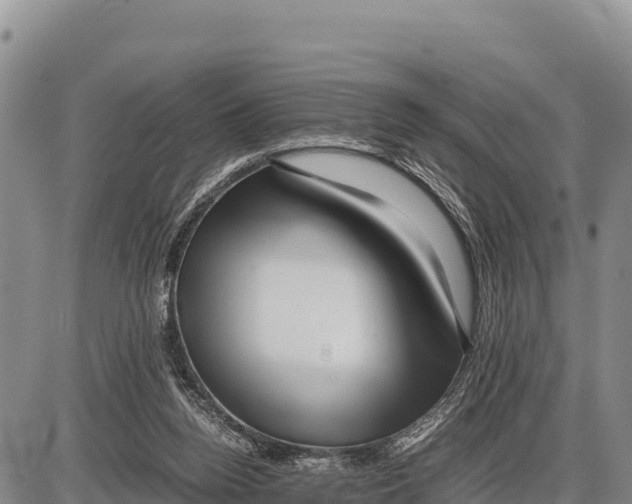 X0000086290160200704271811