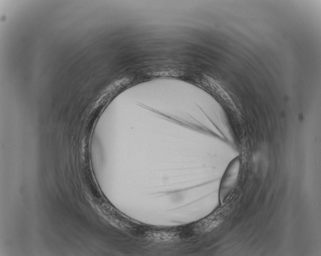 X0000086290163200704271811