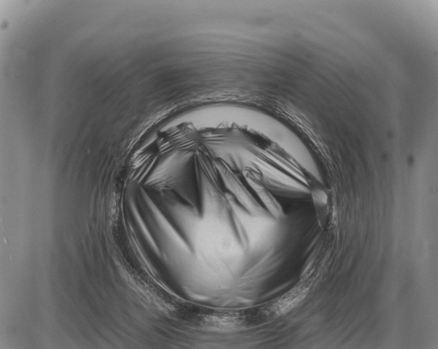 X0000086290164200704271811