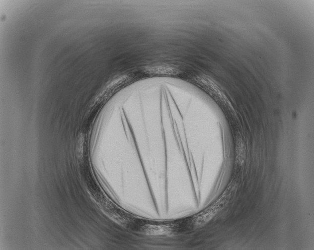 X0000086290167200704271811