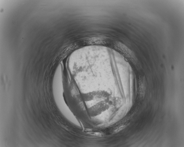 X0000086290169200704271811
