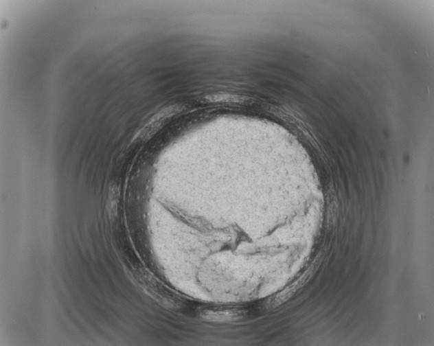 X0000086290171200704271811