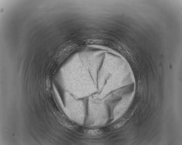 X0000086290173200704271811