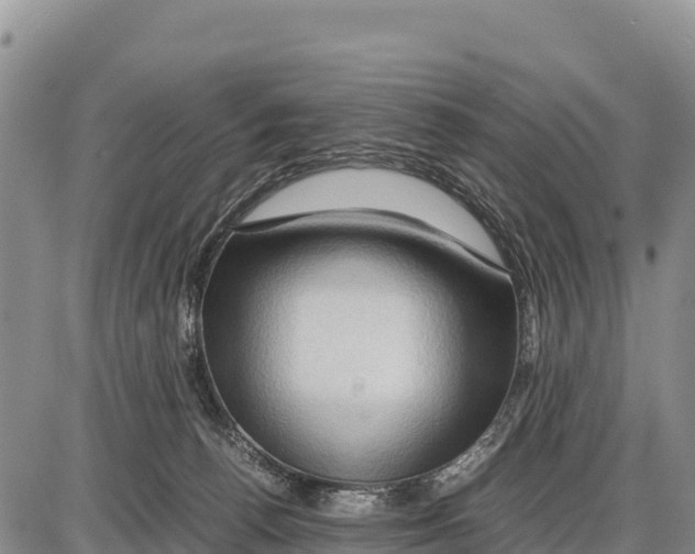 X0000086290176200704271811