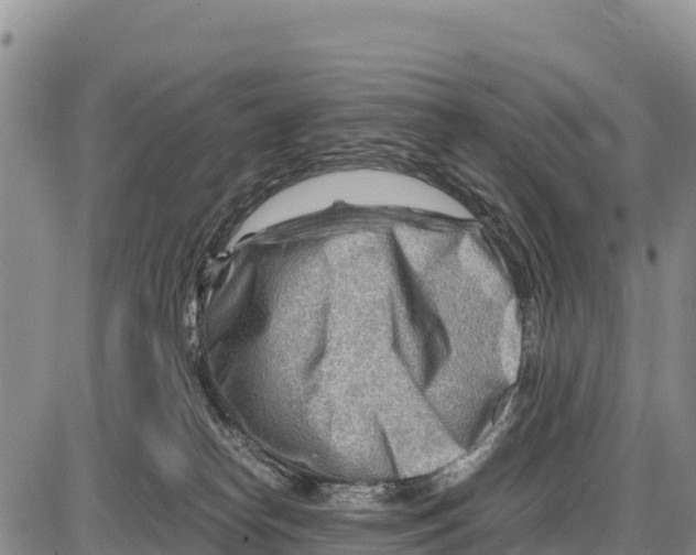 X0000086290182200704271811