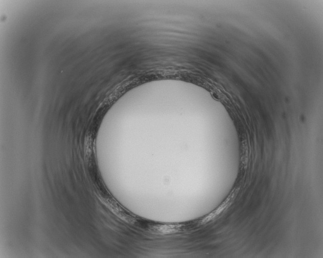 X0000086290184200704271811