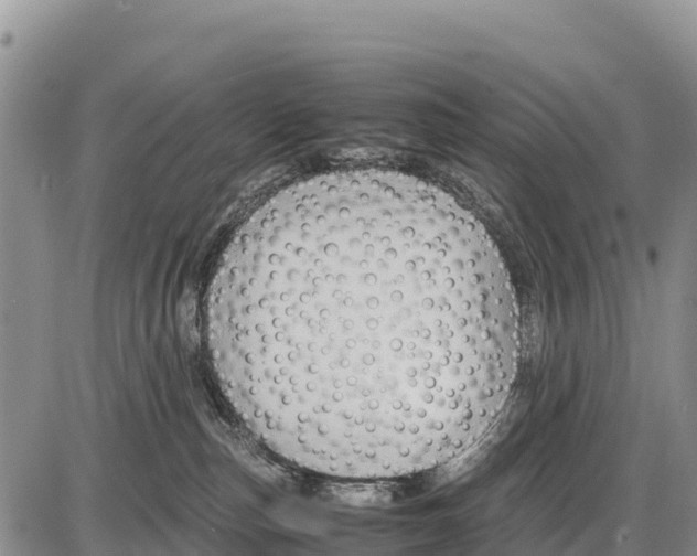 X0000086290187200704271811