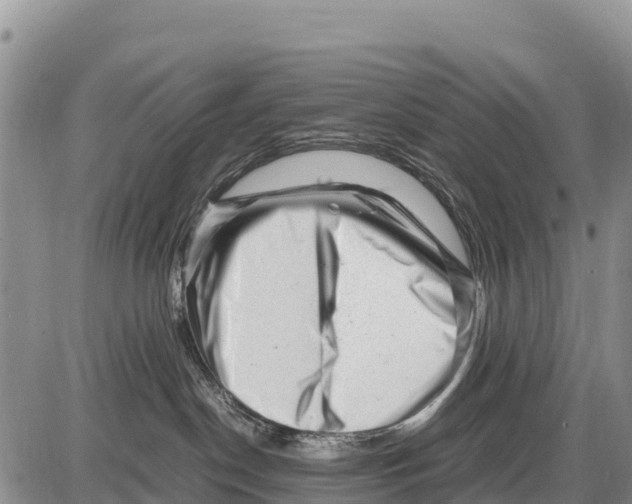 X0000086290190200704271811