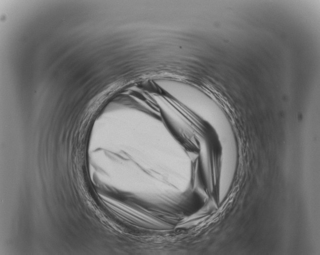 X0000086290193200704271810