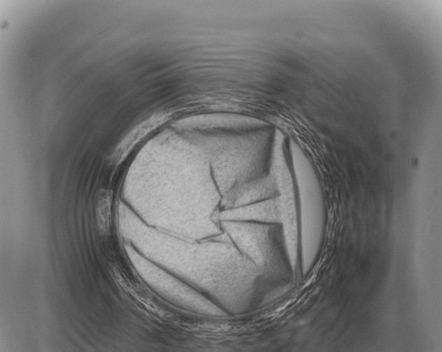X0000086290194200704271810