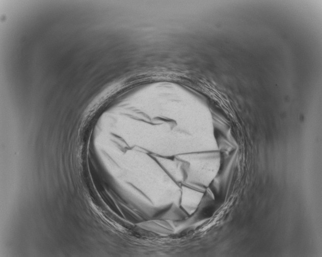 X0000086290197200704271810