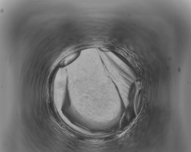 X0000086290198200704271810