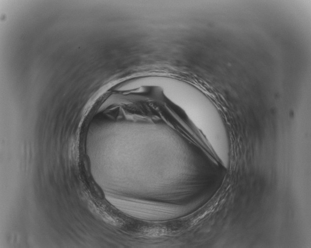 X0000086290200200704271810