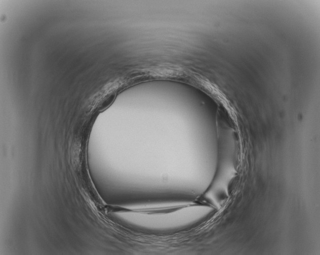 X0000086290201200704271810