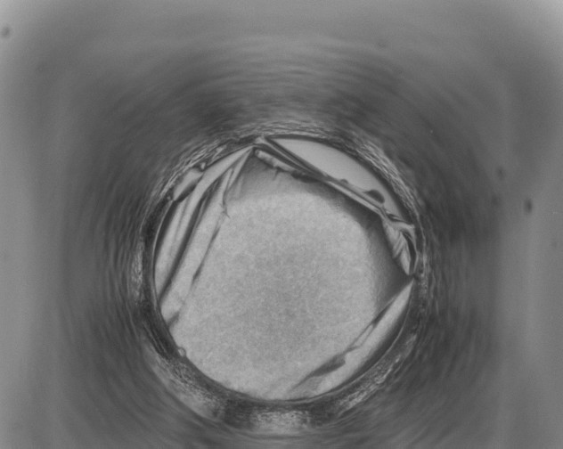 X0000086290202200704271810