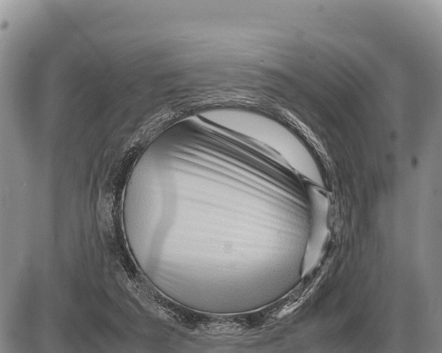 X0000086290209200704271810