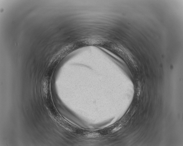 X0000086290210200704271810