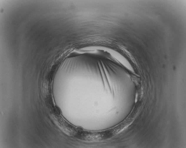 X0000086290213200704271810