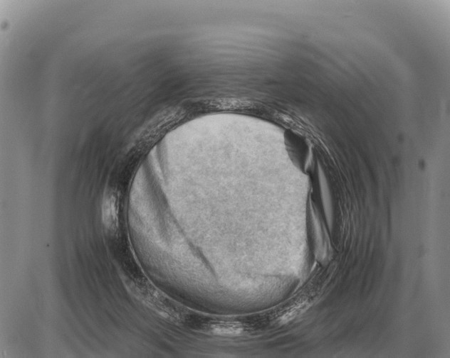 X0000086290214200704271810