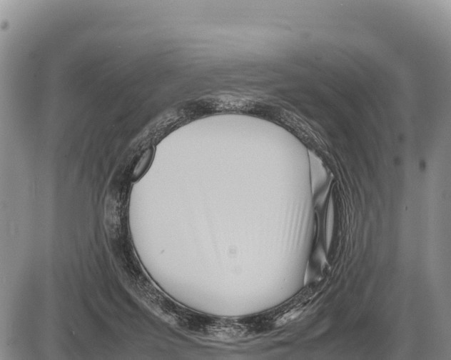 X0000086290215200704271810