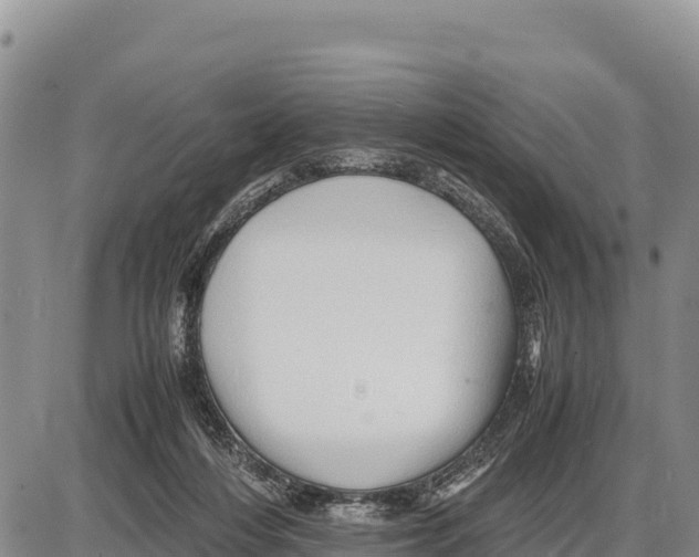 X0000086290216200704271810