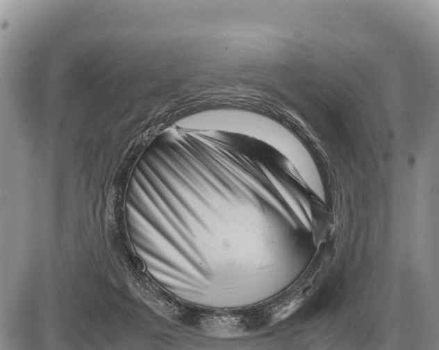 X0000086290217200704271810