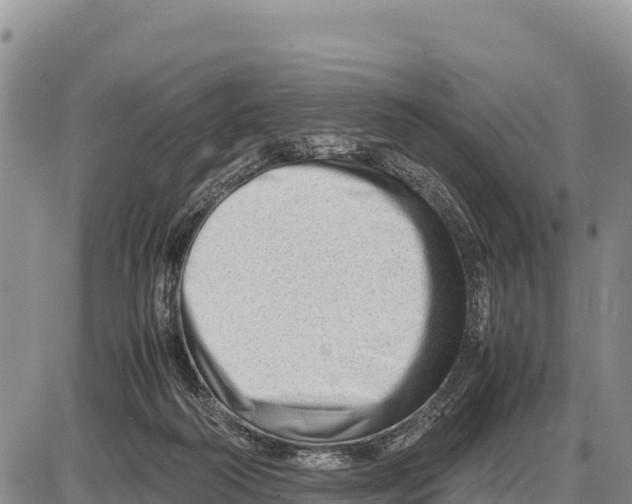 X0000086290218200704271810