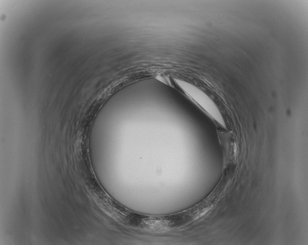 X0000086290221200704271810