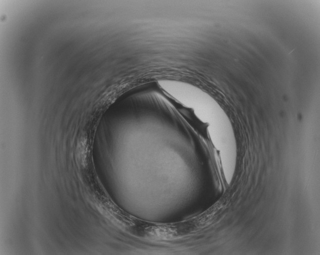 X0000086290223200704271810