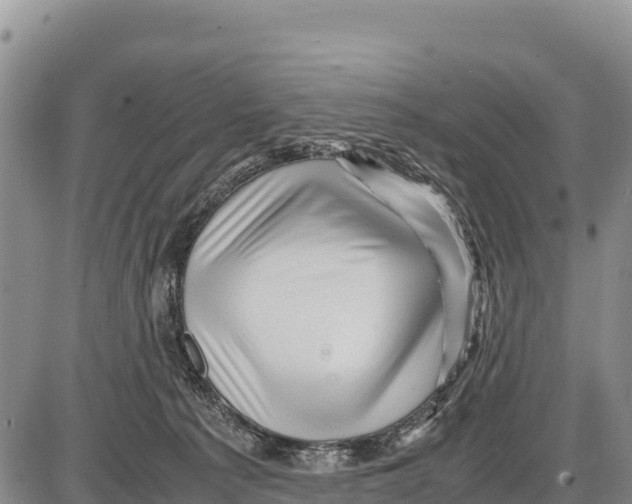 X0000086290225200704271810