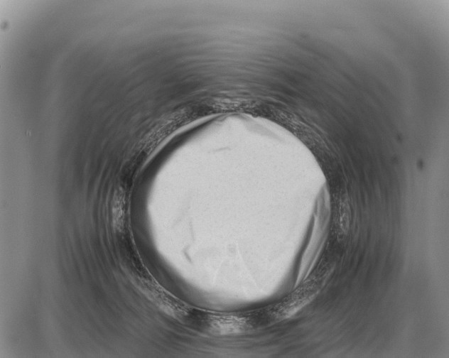 X0000086290226200704271810
