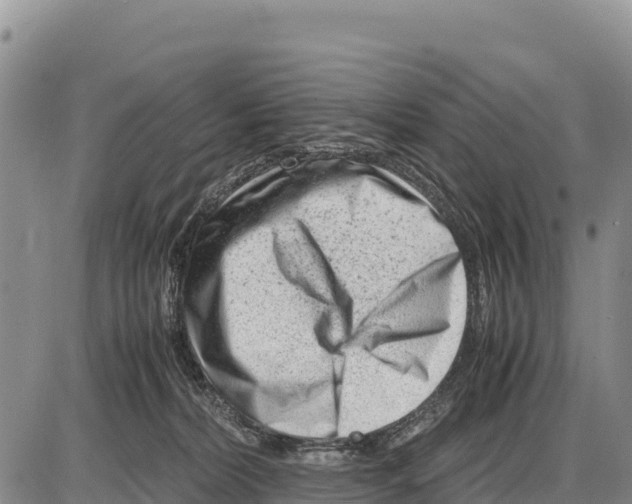 X0000086290228200704271810