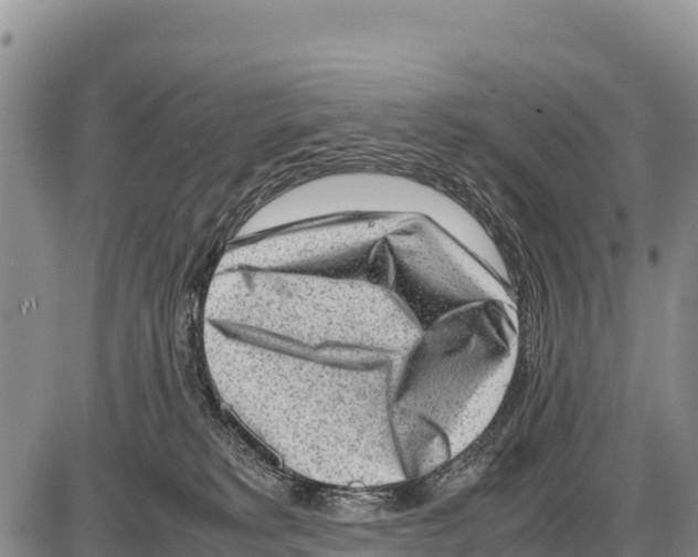 X0000086290229200704271810