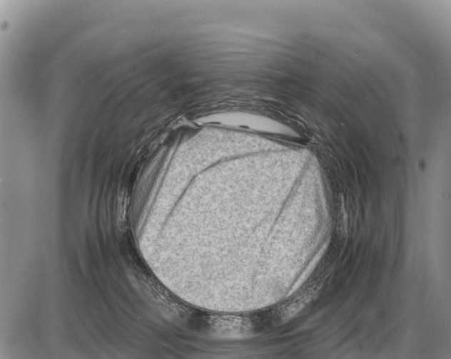 X0000086290230200704271810