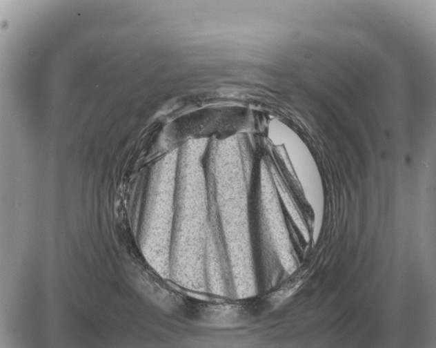 X0000086290237200704271810