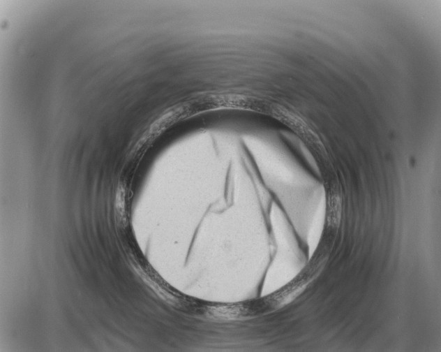 X0000086290238200704271810