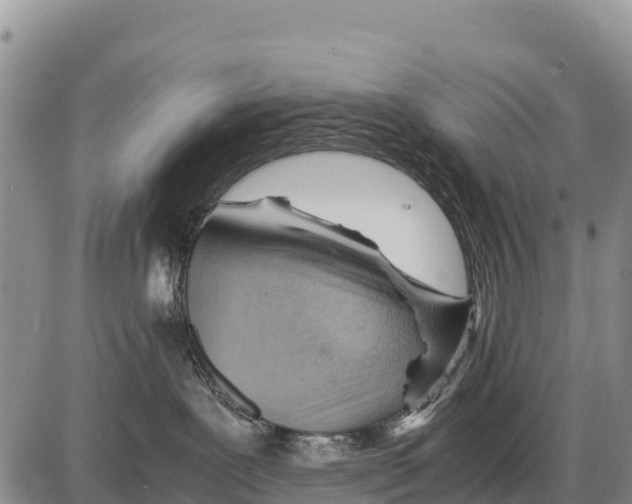 X0000086290239200704271810