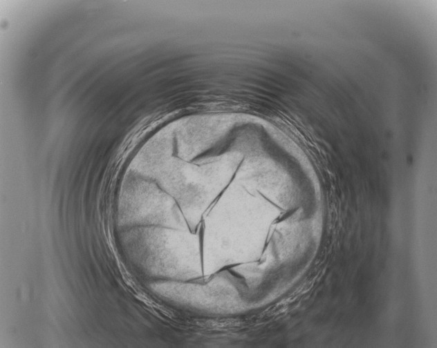 X0000086290241200704271809