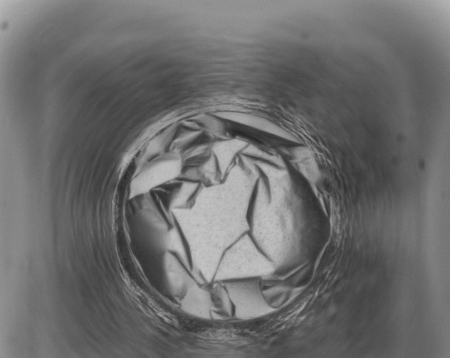 X0000086290244200704271809