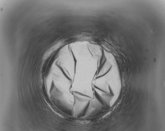 X0000086290245200704271809